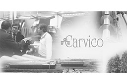 Компания Carvico